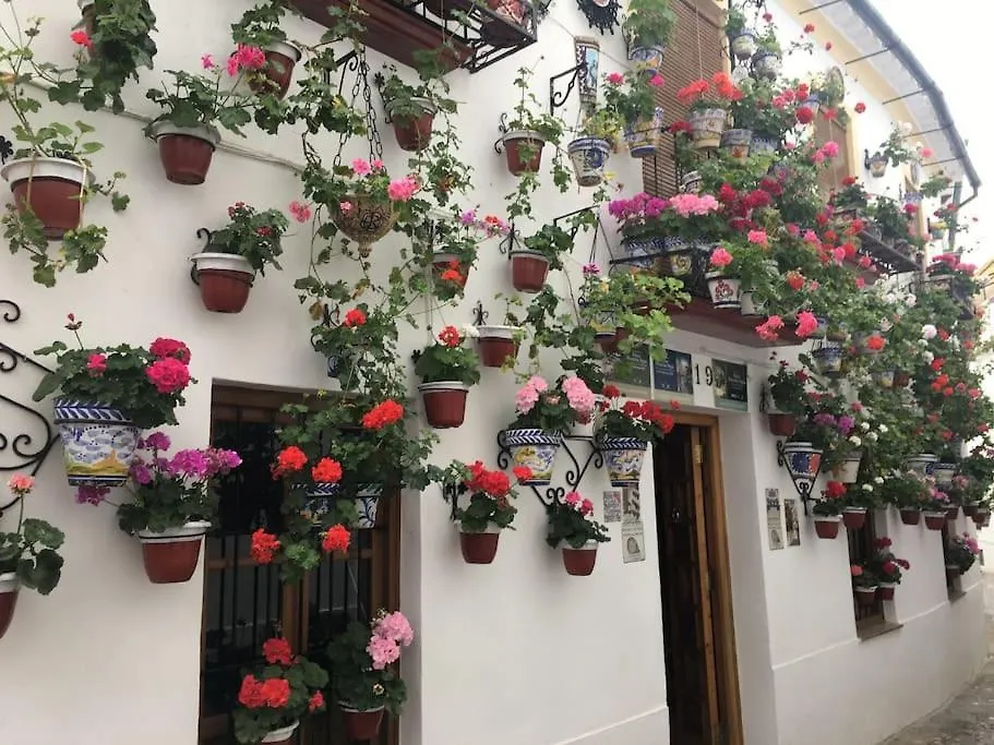 Apartamento Apartamento El Rincon De La Verdad Córdoba 0*,  España